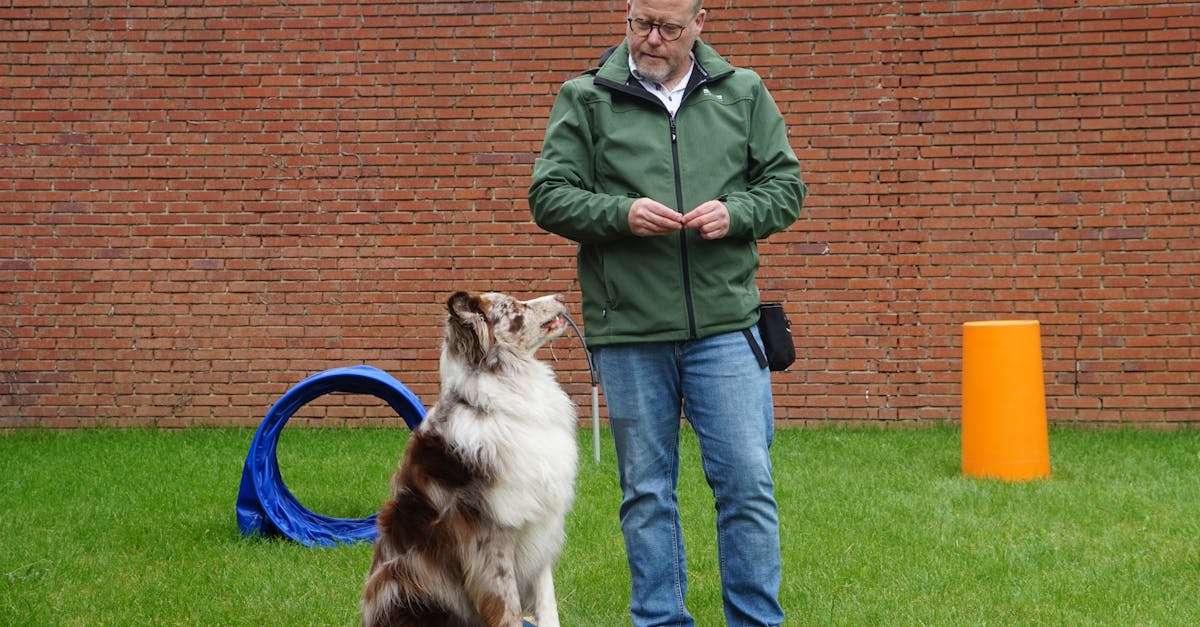 7 Key Attributes of a Successful Project Management Workshop Instructor