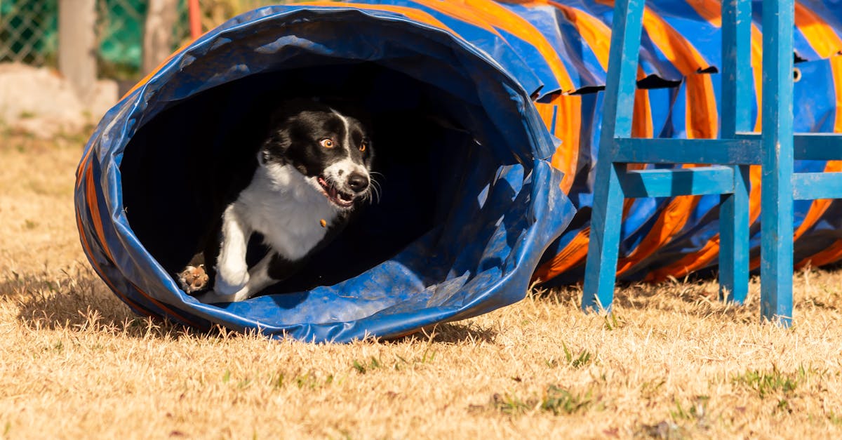 How Long Should Your Project Management Workshop Last