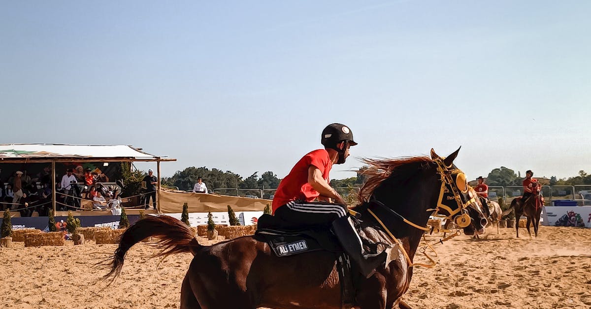 How to Choose the Right CAPM Study Materials