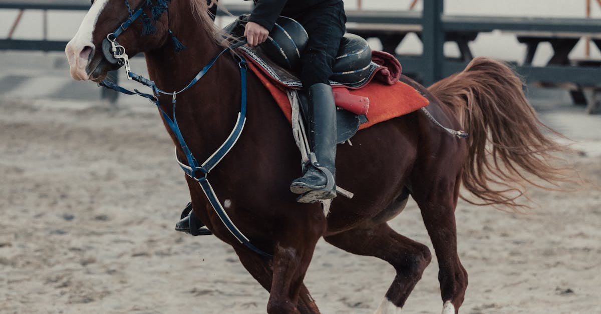 How to Determine the Costs of In-Person Project Management Workshops