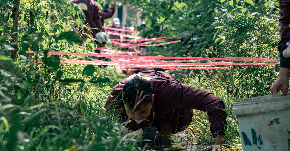 Top 5 Key Learning Outcomes You Should Look for in Workshops