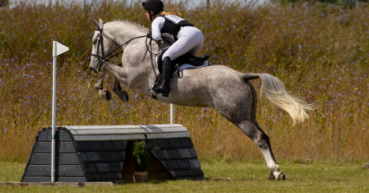 What to Expect from the CAPM Examination Process