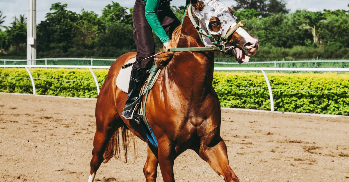 Why you should consider Agile methodologies for your projects